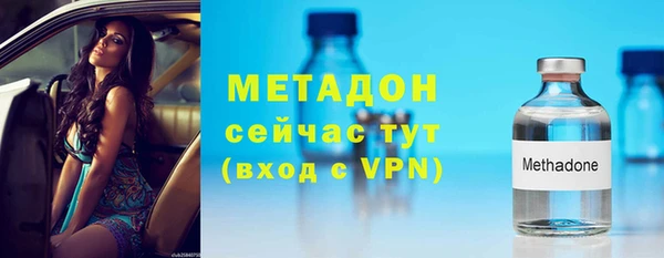 стаф Алзамай