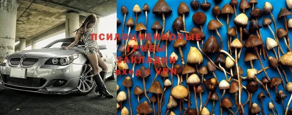 молекула духа Армянск