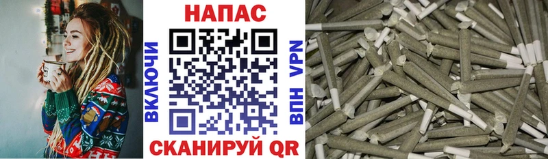 OMG ONION  Курган  Бошки марихуана ГИДРОПОН 